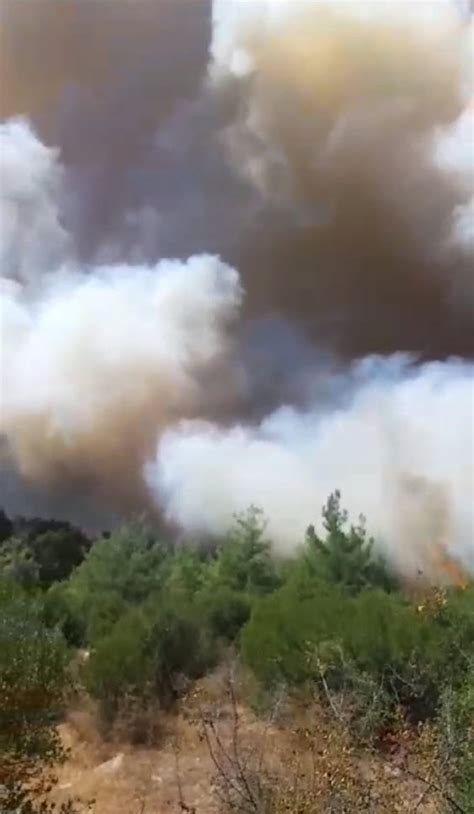 M­a­n­i­s­a­’­d­a­ ­O­r­m­a­n­ ­Y­a­n­g­ı­n­ı­:­ ­E­k­i­p­l­e­r­i­n­ ­M­ü­d­a­h­a­l­e­s­i­ ­S­ü­r­ü­y­o­r­